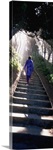 Woman Ascending Stairs OR