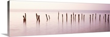 Wooden post in a river, Port Mahon Fishing Pier, Port Mahon, Delaware River, Delaware