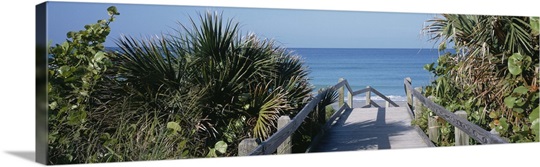 Wooden Walkway Venice FL