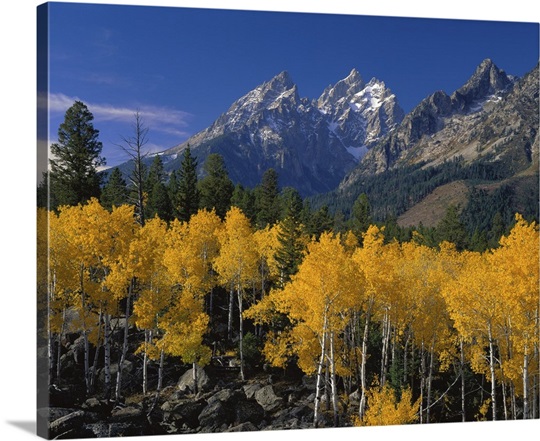 Wyoming, Grand Teton National Park