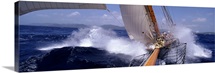 Yacht Race Caribbean