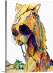 Horsing Around