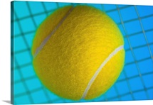 Tennis ball on racquet