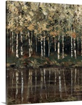 Birch Trees