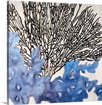 Ocean Lace