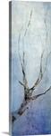 Seasons IV