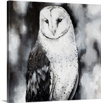 White Owl