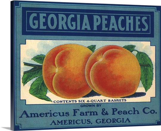 Georgia Peaches Photo Canvas Print Great Big Canvas