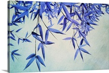 Bamboo Saturation