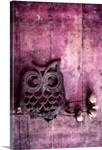 Nocturnal In Pink Hues