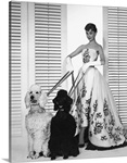 Audrey Hepburn B