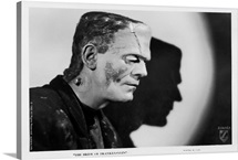Boris Karloff B and W Bride of Frankenstein