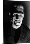 Boris Karloff B and W Bride of Frankenstein 2