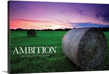 Ambition: A Journey of a thousand miles begins with a single step of faith