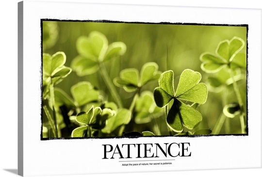Inspirational Motivational Poster: Adopt the pace of nature; her secret is patience