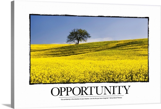 Inspirational Motivational Poster: Go confidently in the direction of your dreams.