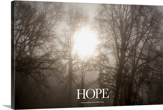 Inspirational Motivational Poster: Hope Shines brightest at the darkest hour