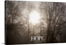 Inspirational Motivational Poster: Hope Shines brightest at the darkest hour