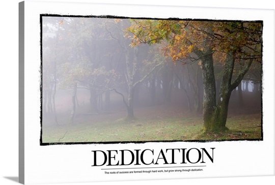 Inspirational Motivational Poster: The roots of success are formed through hard work