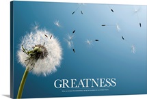 Inspirational Motivational Poster: When we envision the extraordinary