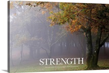 Inspirational Poster: Every great oak tree started out as a couple of nuts