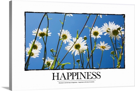 Inspirational Poster: The leader who shares experience ensures a bright future
