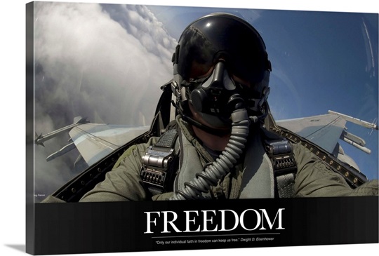Military Motivational Poster: Freedom