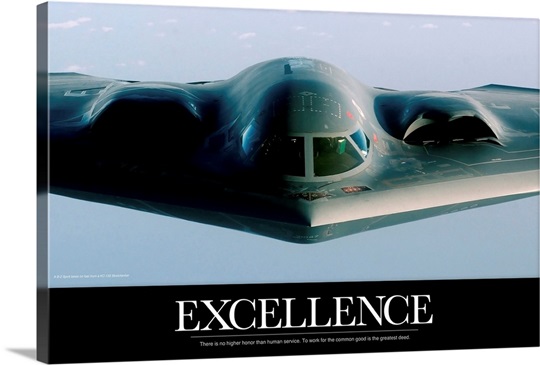 Motivational Poster: Excellence