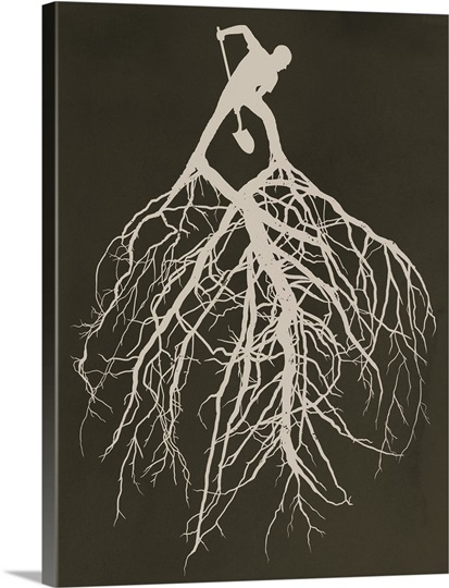 Know Your Roots