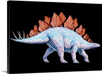 Artwork of Stegosaurus dinosaur, Stegosaurus sp