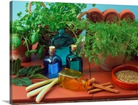 Bottles of aromatherapy oil and herbal ingredients