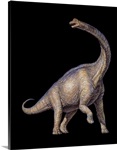 Brachiosaurus