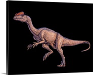 Dilophosaurus