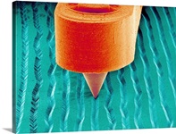 Needle playing a record, SEM