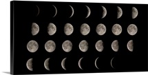 Phases of the Moon