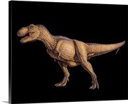 Tyrannosaurus rex