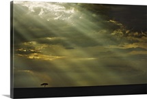 Africa after the storm