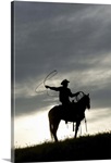 Cowboy on horseback with lasso at sunset, Yosemite, California