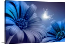 In The Fields Of Imagination