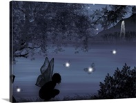 Midnight Paradise