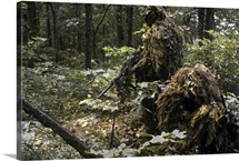 A Marine sniper team wearing camouflage ghillie suits
