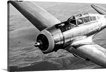 A Republic AT 12 Guardsman aircraft in flight