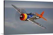 A Republic P 47D Thunderbolt in flight