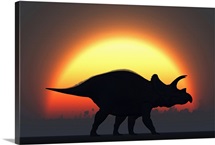 A silhouetted Triceratops strolling past a setting Sun at the end of a prehistoric day