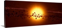 A young star circled by debris