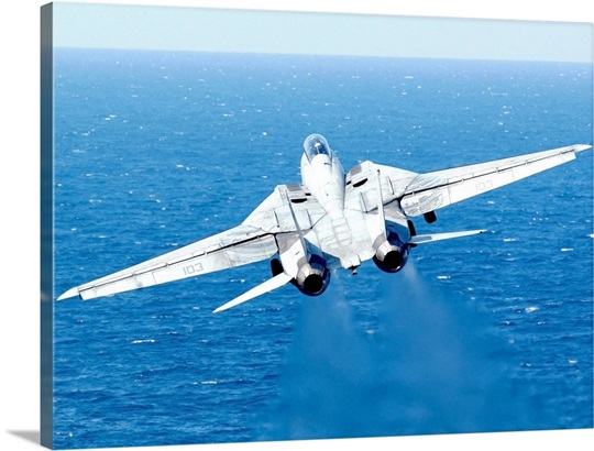 An F14D Tomcat taking off