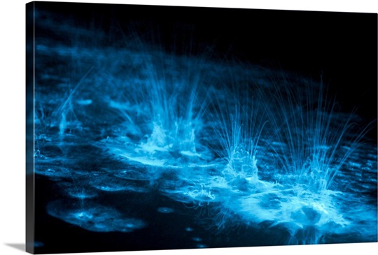 Bioluminescence splashes in the Gippsland Lakes Victoria Australia