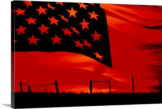 Flag Silhouette
