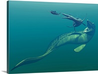 Marine predators of the Cretaceous period