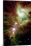 Newborn stars in the Christmas Tree cluster